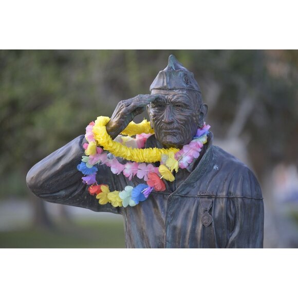 Tamron SP 70-200mm F/2.8 Di VC USD Telephoto Lens For Nikon With Hood & Bag - Picture 12 of 12